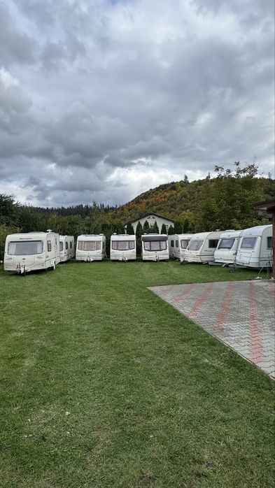 Rulota inmatriculata