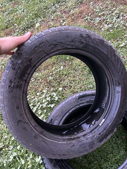 Cauciucuri iarna 225 50 18