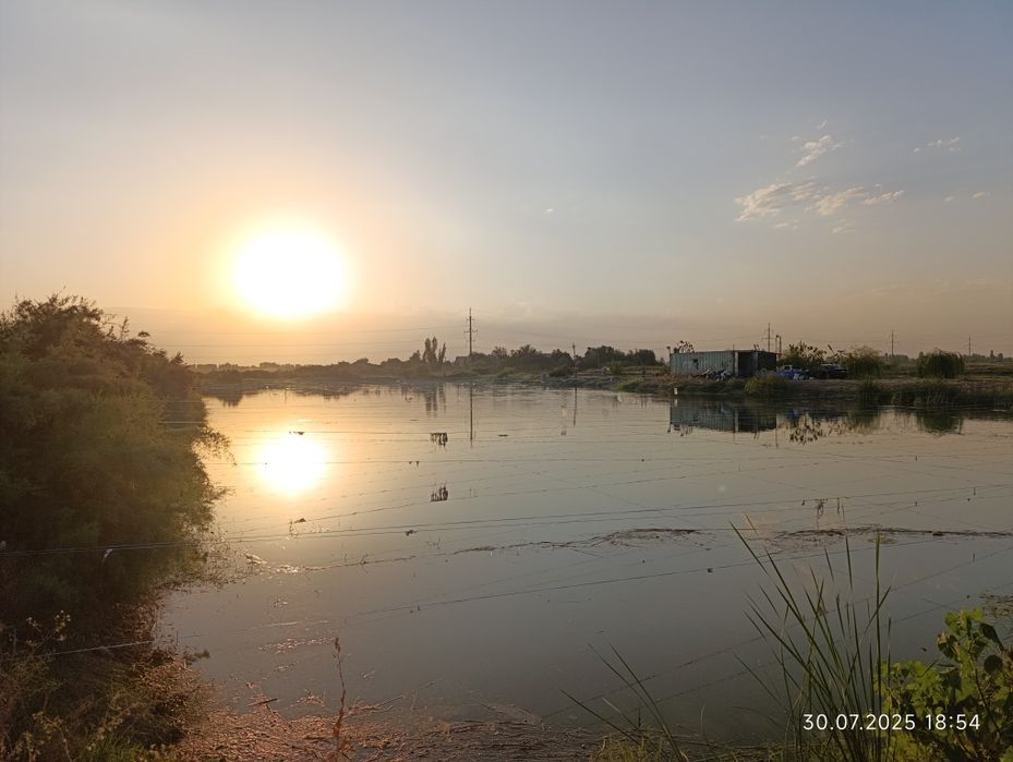 Ташморе, сув буйида 4 гектар