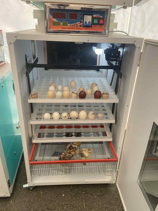 Инкубатори за птици