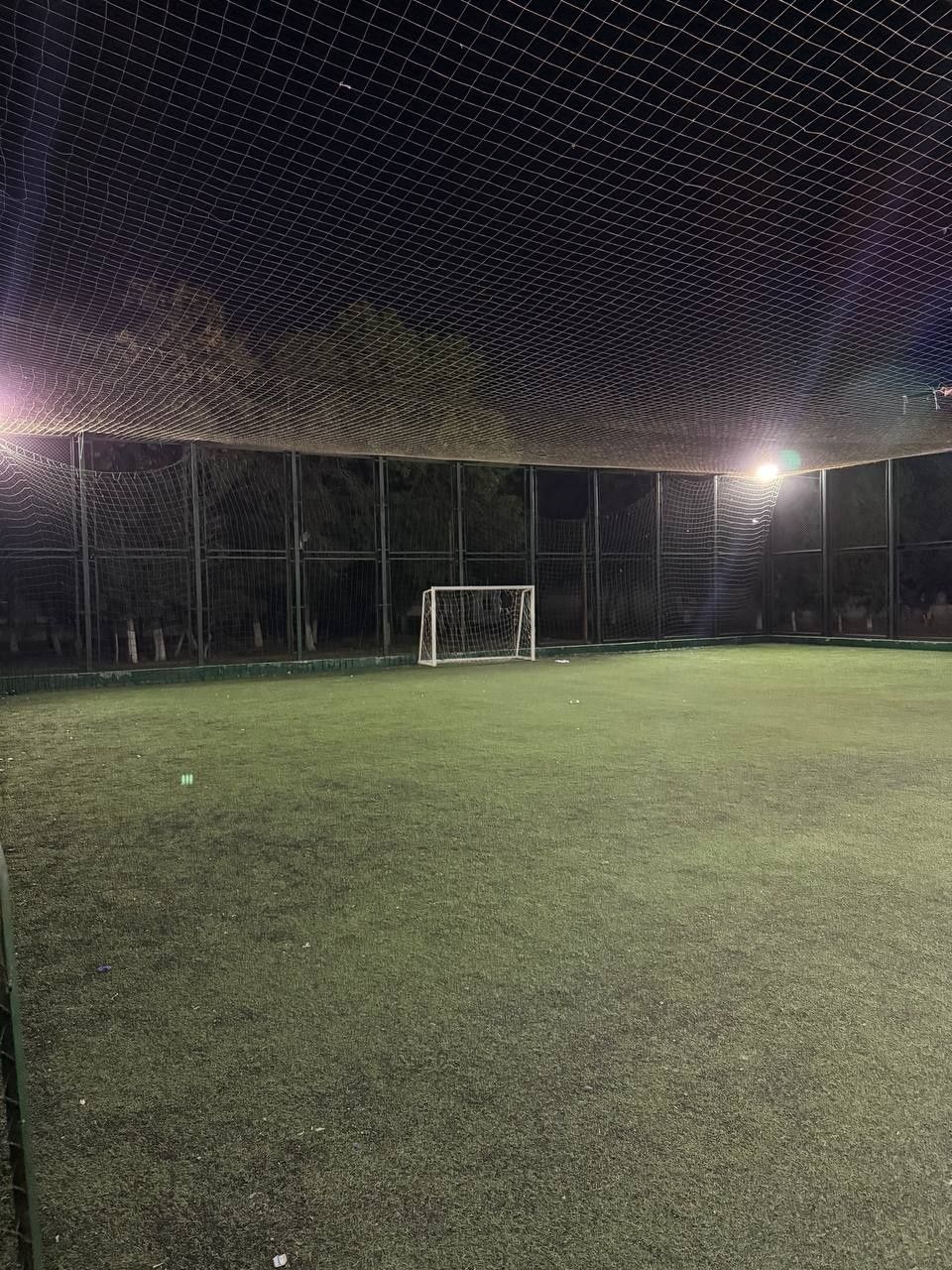 Stadion polya arenda