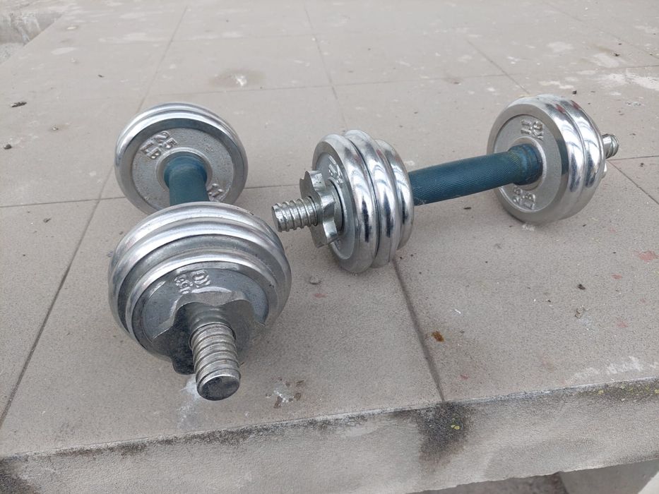 Vand gantere reglabile de 8,5 kg