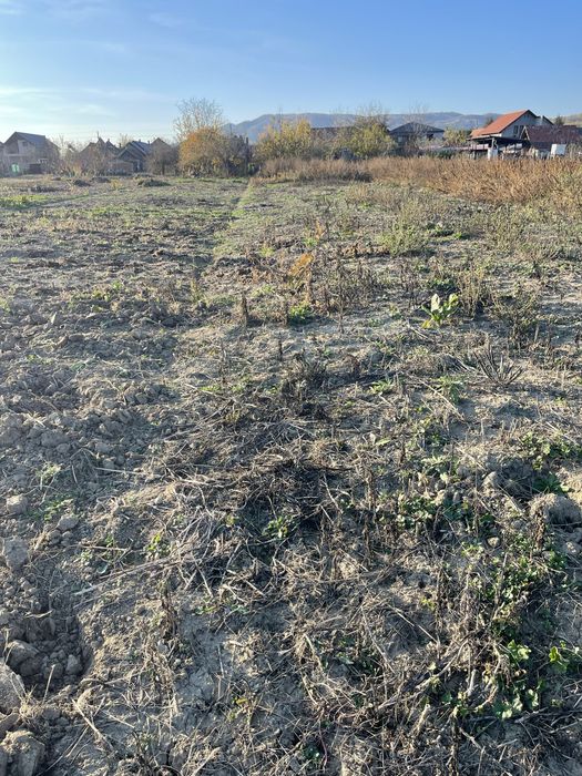 Casă cu gradina in centru Periceiului