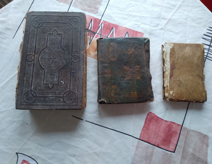 Biblie an Limba Maghiara