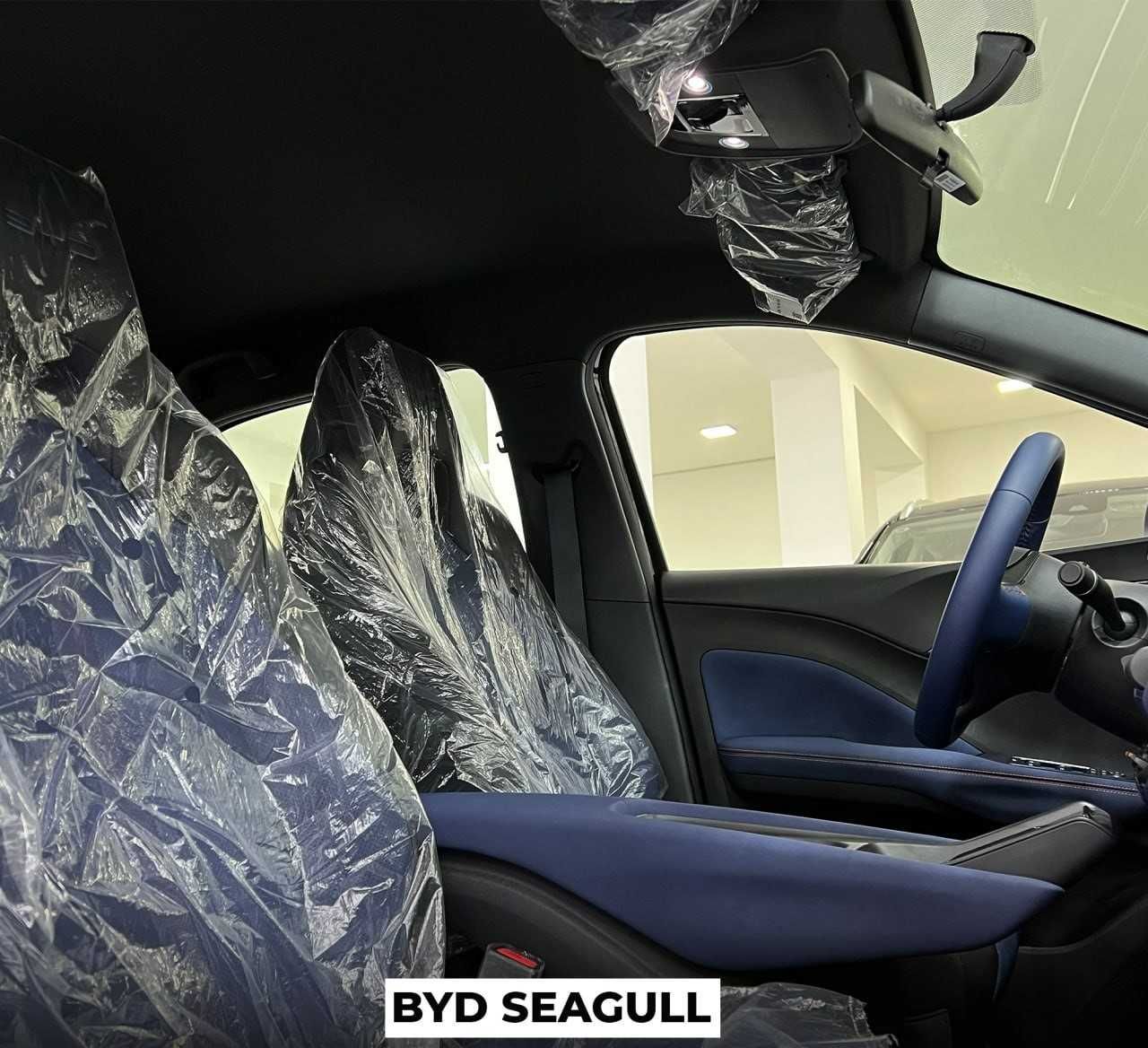 BYD seagull eng qulay elektromobil