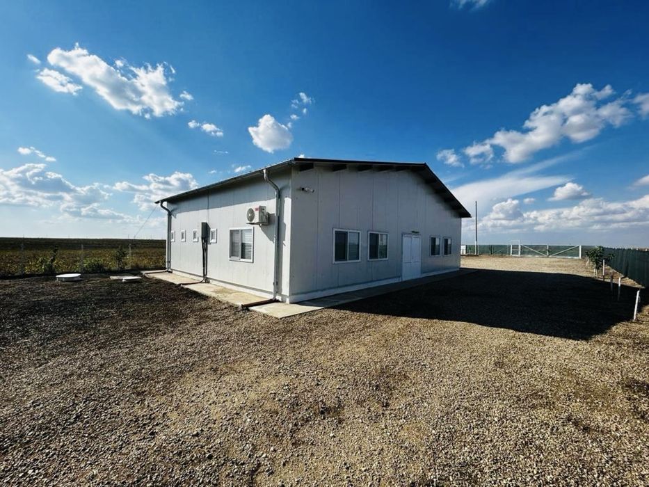 Vand afacere la cheie Ferma Zootehnica animale tauri/posibilitate rate