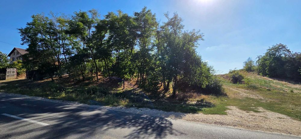 Teren intravilan si extravilan stradal Cateasca