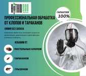Дезинфекция от клопов, тараканов, мышей и крыс ЕСИК
