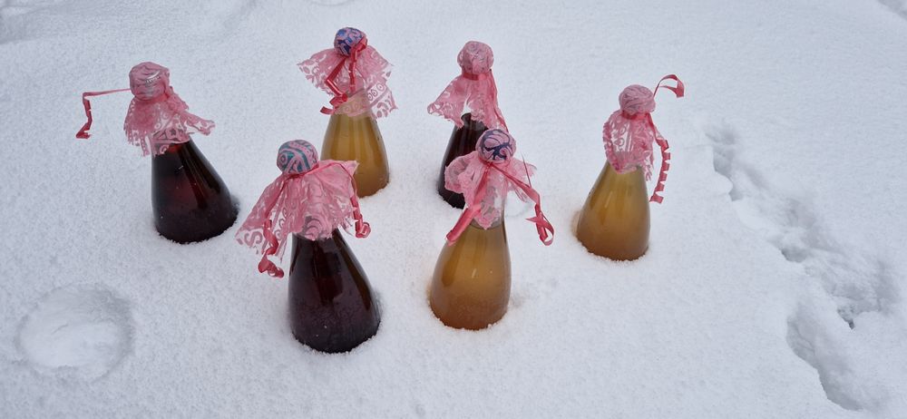 Sirop de brad cu molid si sirop de soc