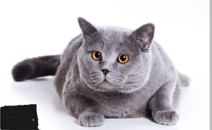 Доставка через Яндекс