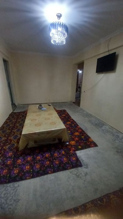 Qoraqamish 1/2 arendaga qo'yiladi 3/5/5