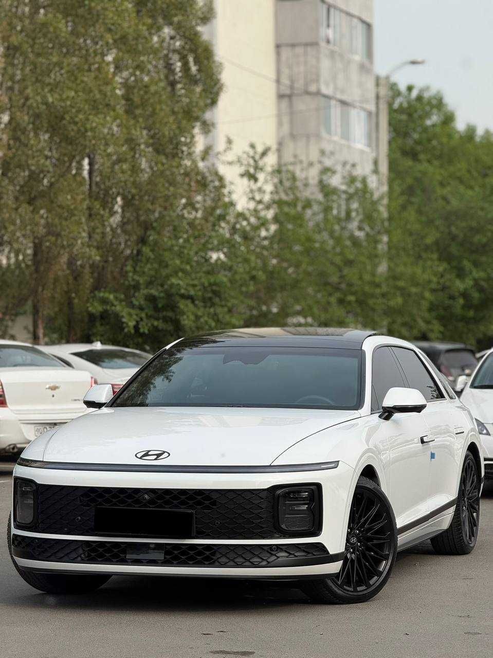 Hyundai Grandeur Calligraphy