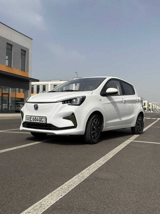 changan ben ben 300 km Elektir