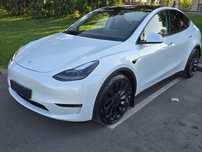 Tesla Y performers