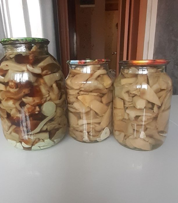 Продам грибы маринованные