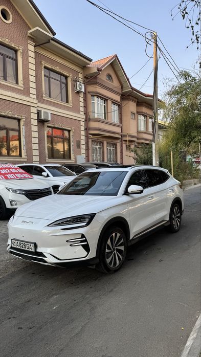 Byd champion 2024 yil 605 km