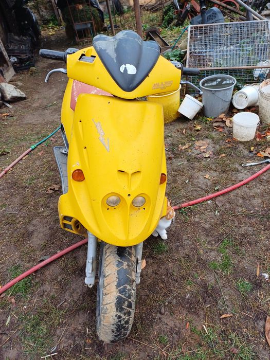 Vand scuter malaguti f 12 de 50cc 800 de leii