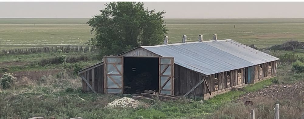 Продам дом и откормочную базу.
