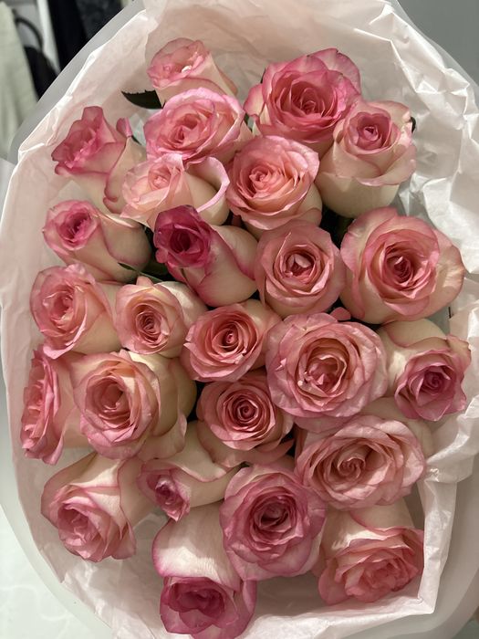 Цеты розовые розы-25 штук