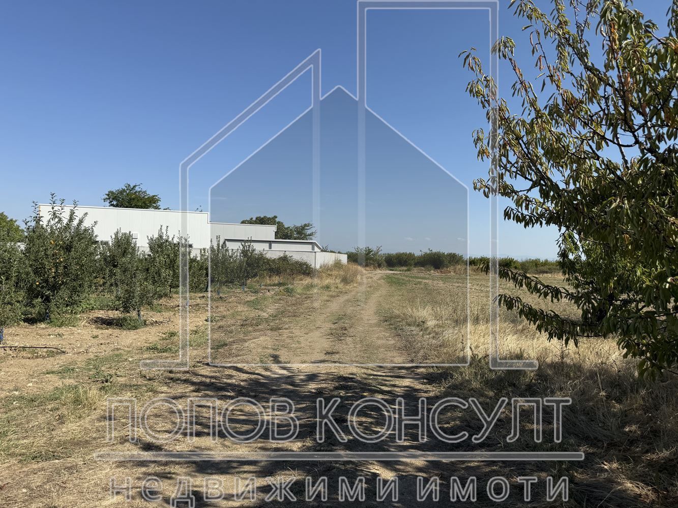 Парцел в Пловдив, област-с.Брестник площ 4449 цена 155715