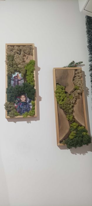 Скандинавски мъх,декорации