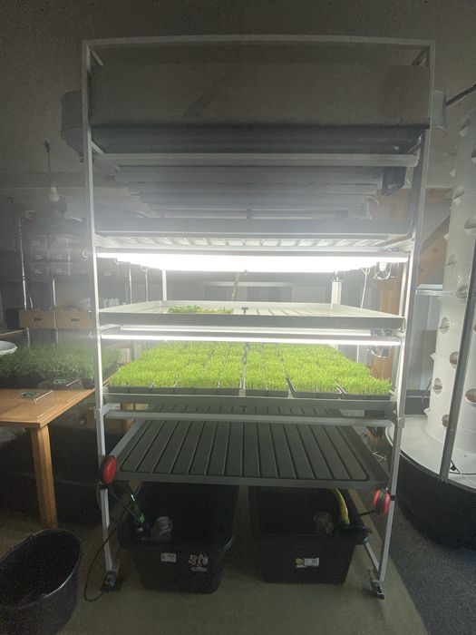 Sistem hidroponic microplante si plante aromatice