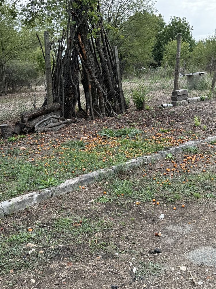 Продавам дворно масто 1390 кв.м с 2 бр. Кладенци в с. Тракия СТ.Загора