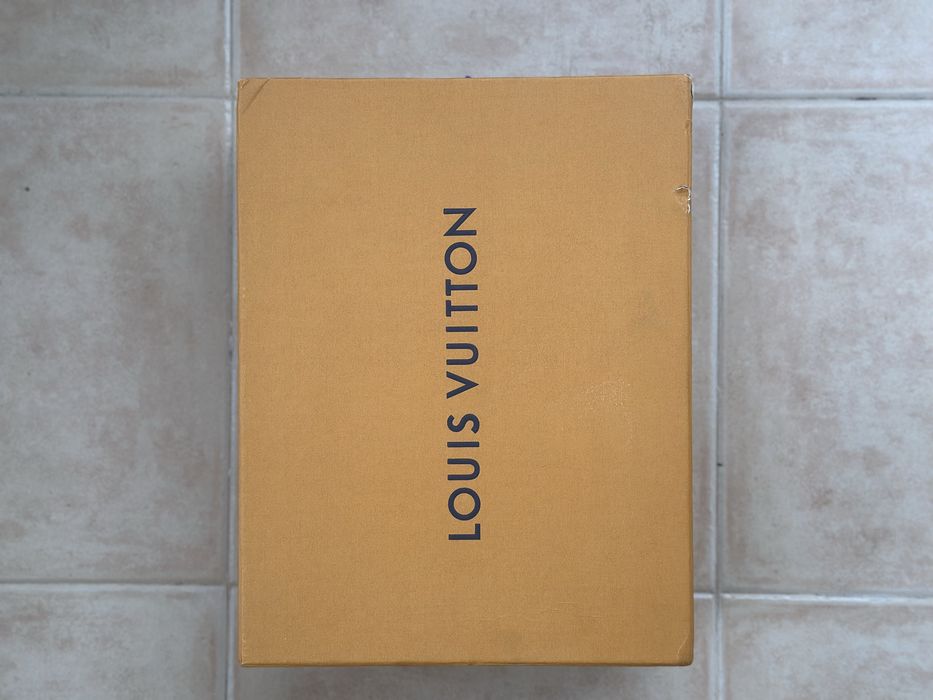 Louis Vuitton skate sneaker