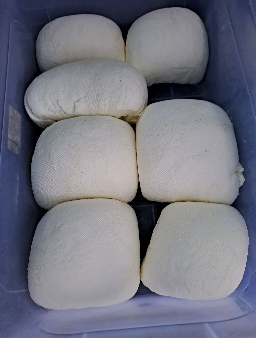 Branza de vaci si smantana 15 ron kg Oradea Borod
