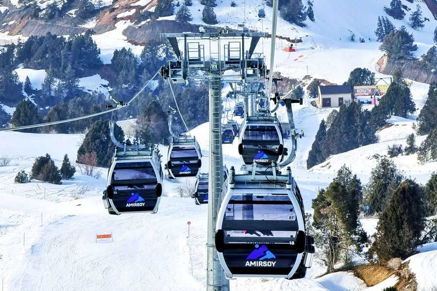 Professional turism driver - Sightseeing & travel services