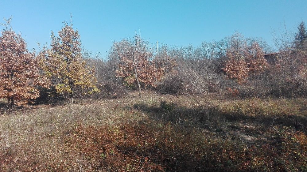 Косене на трева в градини,дворове,вили,парцели.Почистване и извозване.