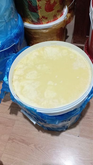 Продам мёд свежий 2025 г