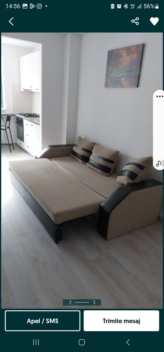 Canapea extensibila 2 locuri
