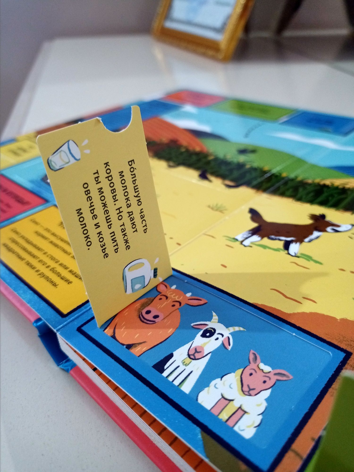 Большая детская книга с окошками: Ферма