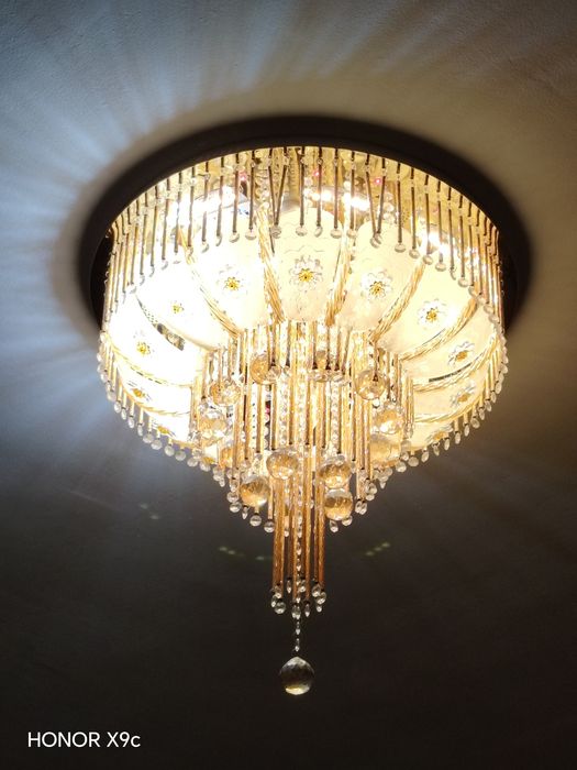 Lustra blutusli pluti bor!