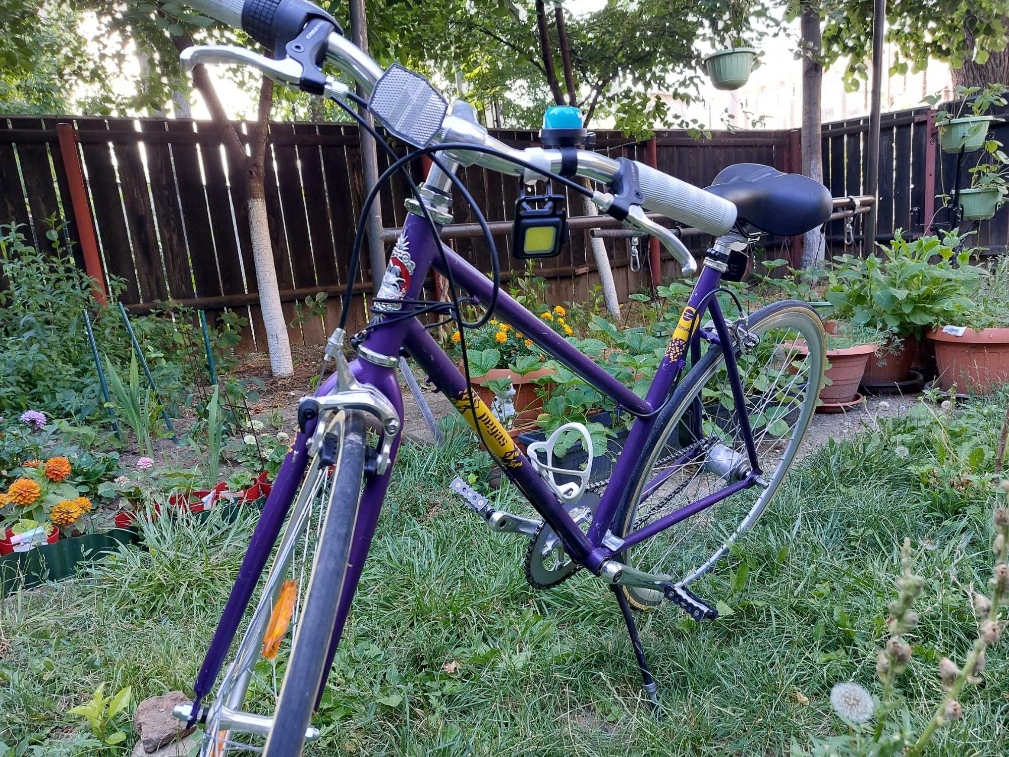 Pachet biciclete pegas - Dama si copil - City Clasic Mov si Drumet 20