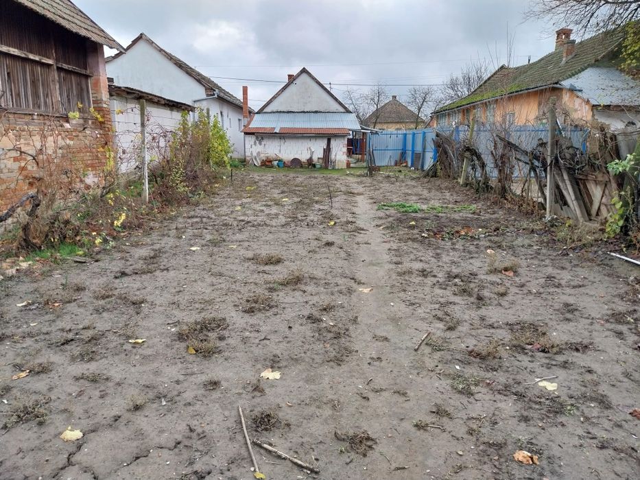 Casa de vânzare în Cenad județul Timis