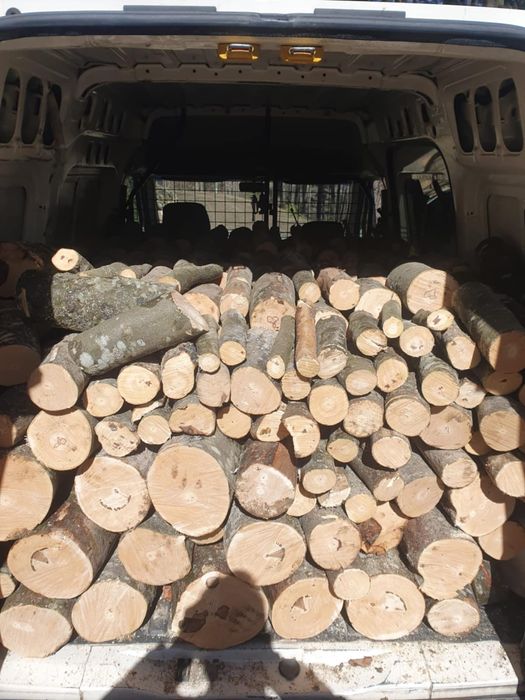 Vând lemne fag 800 lei duba