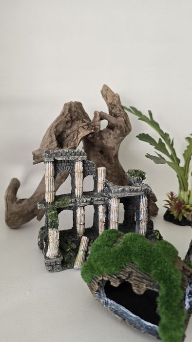 Pachet acvariu: decoruri, plante naturale easy, lipici submersibil