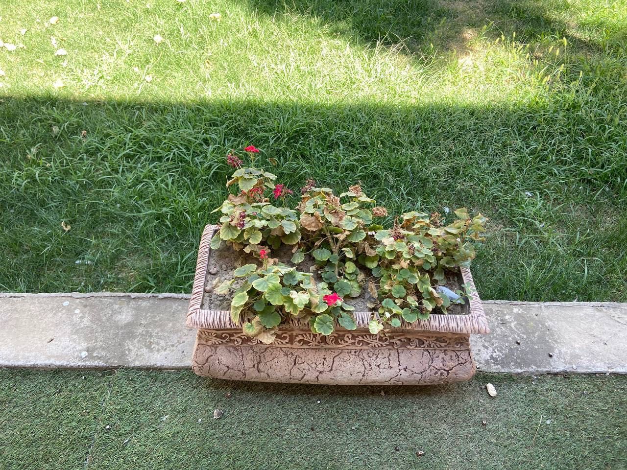 gul tuvak 10ta dan kop