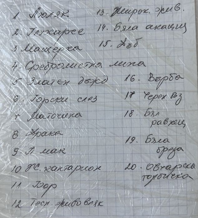 Морфологичен Хербарий 20бр