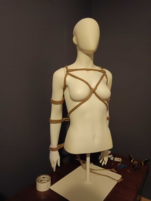 Шибари Скулптура/инсталация