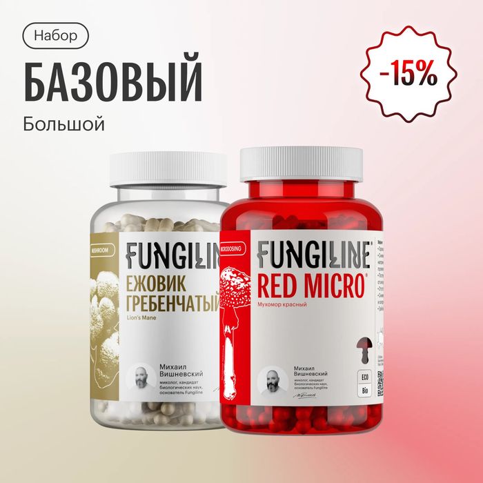 Ежовик грбенчатый, крас в наличии