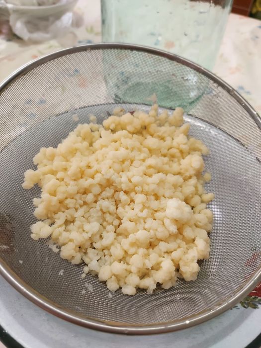 Продаю японский молочный грибок