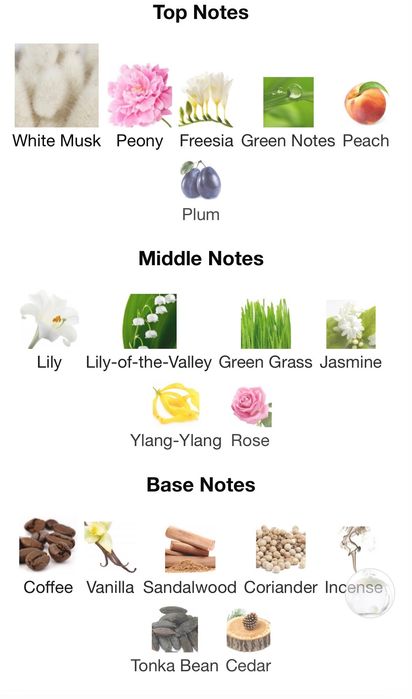 Cacharel noi 100 ml.