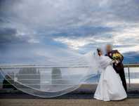 Voal Pronovias conform imagini.