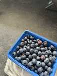 Afine din gradina proprie30 lei/kg