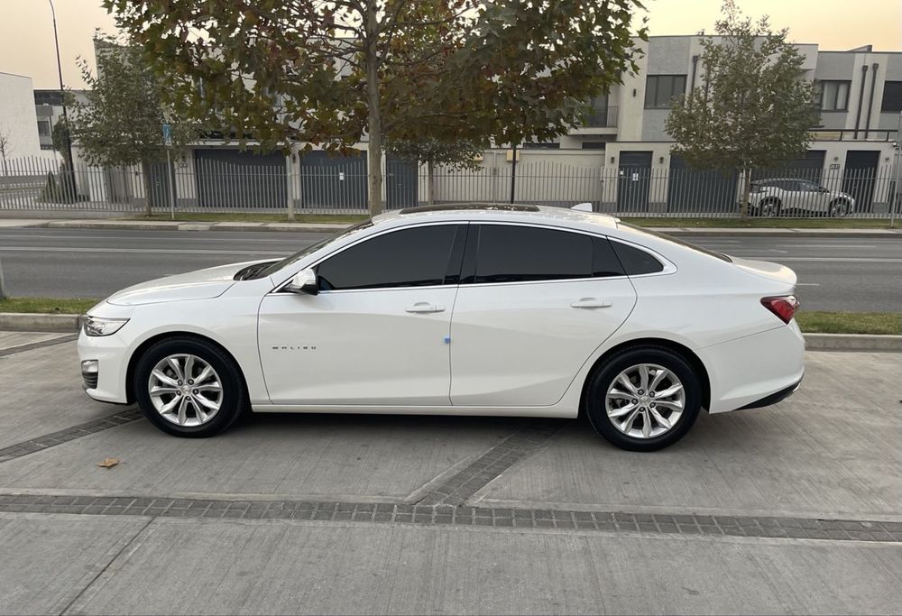 Malıbu Premıer 2021