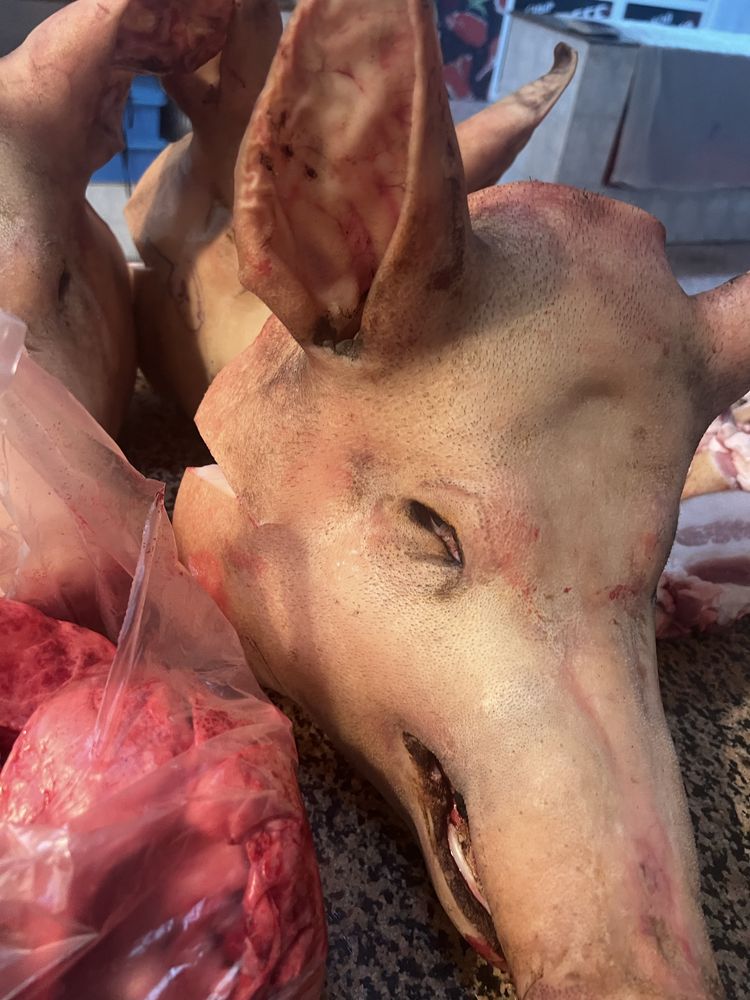 Продам домашнее мясо свинина