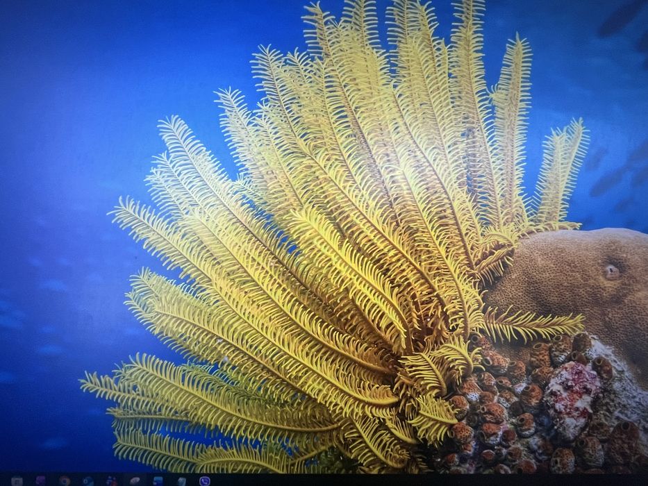 Монитор DELL P2419H 61 см (24") 1920 x 1080 пиксела Full HD LCD Сребро